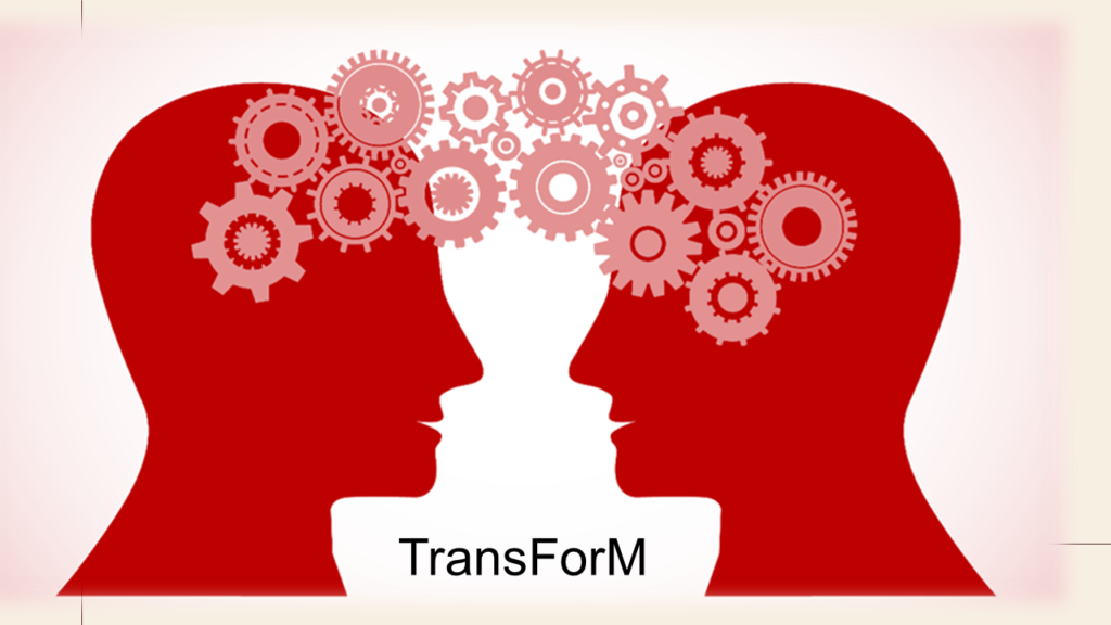 Transfer von Erkenntnissen aus der Hochschul- und Wissenschaftsforschung in das Management von Hochschulen (TransForM)